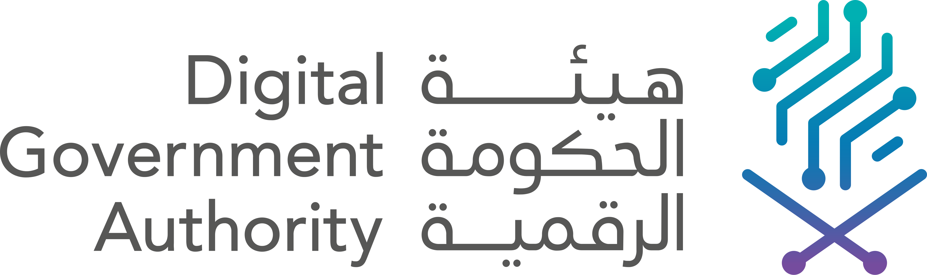هيئة الحكومة الرقمية